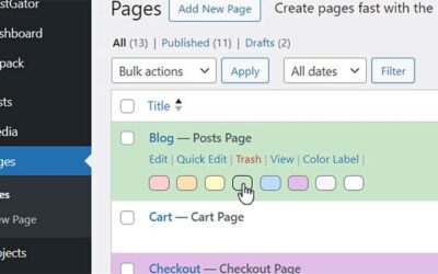 The WordPress plugin I recently made: Color Labels for Posts and Pages